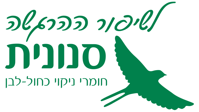 סנונית